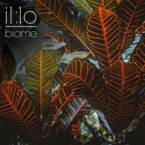 Biome - Single