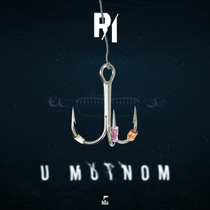 U mutnom - Single