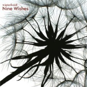 Nine Wishes