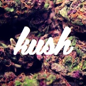 Image for 'KUSH.FM'