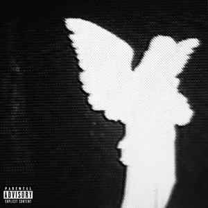 Plans - Single