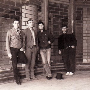 The Merry Melodies 的头像