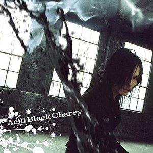 Top Acid Black Cherry Albums Last Fm Top Acid Black Cherry Albums Last Fm