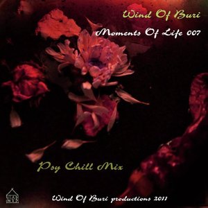 Moments Of Life Vol. 7 (Psy Chill Mix)
