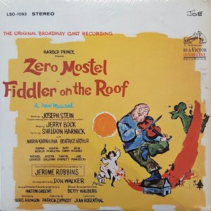 Fiddler on the Roof Jr.