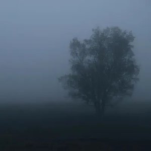 Inner Reflections - Single