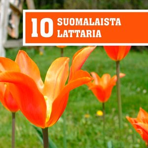 10 Suomalaista Lattaria