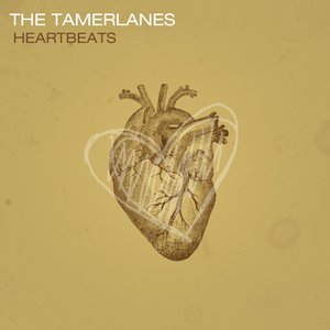 Heartbeats