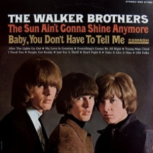 The Sun Ain't Gonna Shine Anymore cover