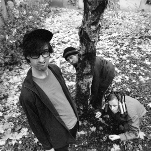 Bulbul photo provided by Last.fm