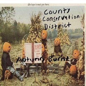 Autumn Burnt