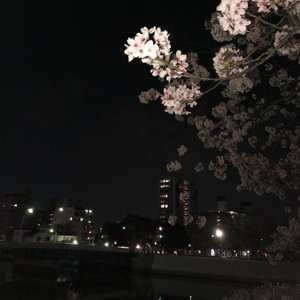 Heartbeat - Single