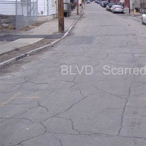 BLVD Scarred