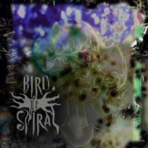 ice bird spiral
