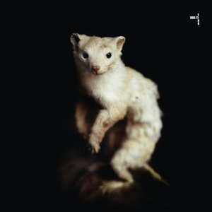 Dus-Ti & Eiko