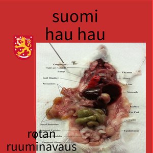 ROTAN RUUMINAVAUS