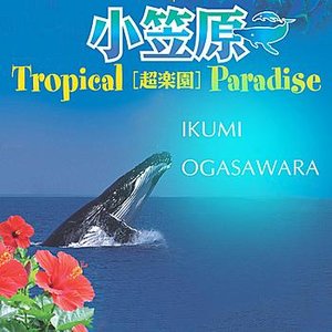 Ogasawara Tropical Paradise