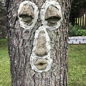 Sons Of Birches 的头像
