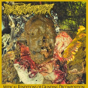 “Medical Renditions Of Grinding Decomposition”的封面