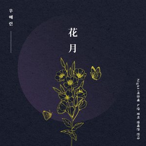 Night : Yellow Flowers Bloom Only At Night of Summer