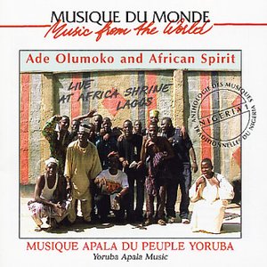 Image pour 'Live At Africa Shrine'