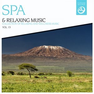 SPA & Relaxing Music, Vol. 13