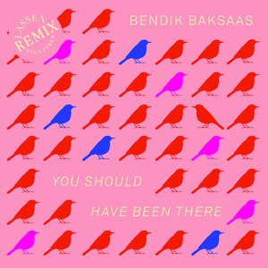 You Should Have Been There Pt 1. (Bendik Baksaas Remix)