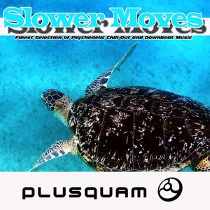 Slower Moves (Ambient Chillout Collection)