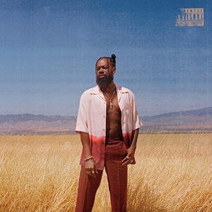 AdeKunle Gold - It Is What It Is - Zortam Music