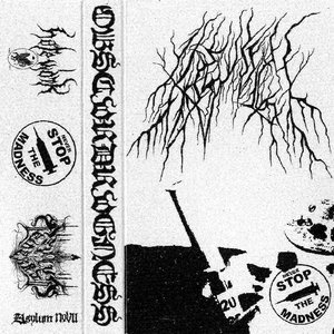 Demo 1