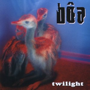 “Twilight”的封面