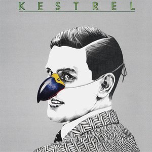 Kestrel