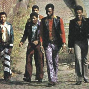 The Rudies photo provided by Last.fm