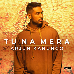 Artwork for Tu Na Mera
