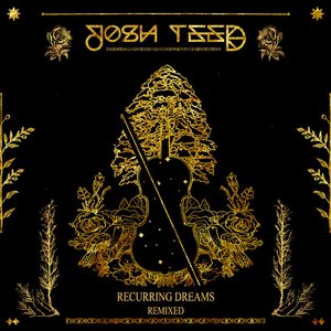 Recurring Dreams (Lowcation Remix)
