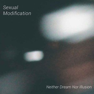 Neither Dream nor Illusion