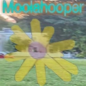 Moolahooper