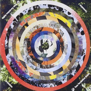 Termination (SHM-CD)
