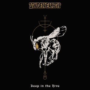Deep In The Hive