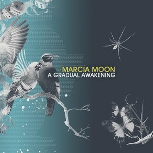 A Gradual Awakening