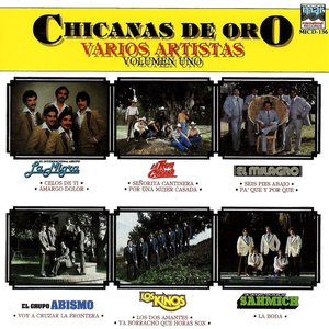 Chicanas De Oro Volumen Uno