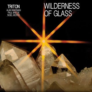 Wilderness of Glass