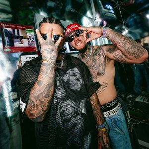 Coyote 的头像