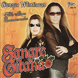 Aunque Minitieras