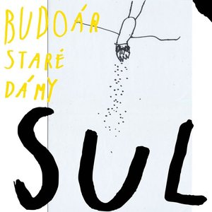 Sůl