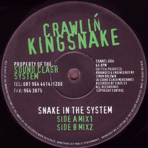 Snake in the System