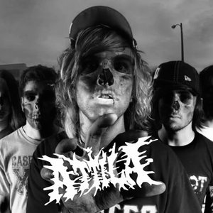 Attila 的头像