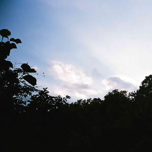 Memory Repetitions cover