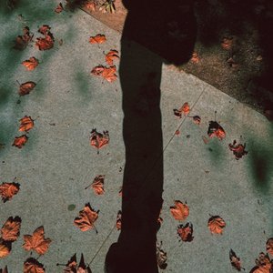 tell me to fall and i will