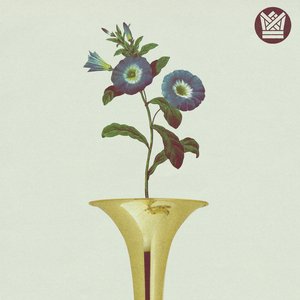 Morning Glory